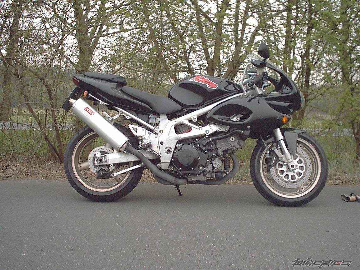 1998 SUZUKI TL1000S | Picture 71305 motorcycle photo