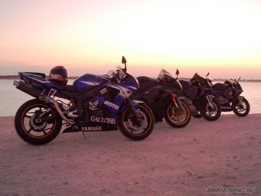 2004 HONDA CBR 600 | Picture 713055 motorcycle photo