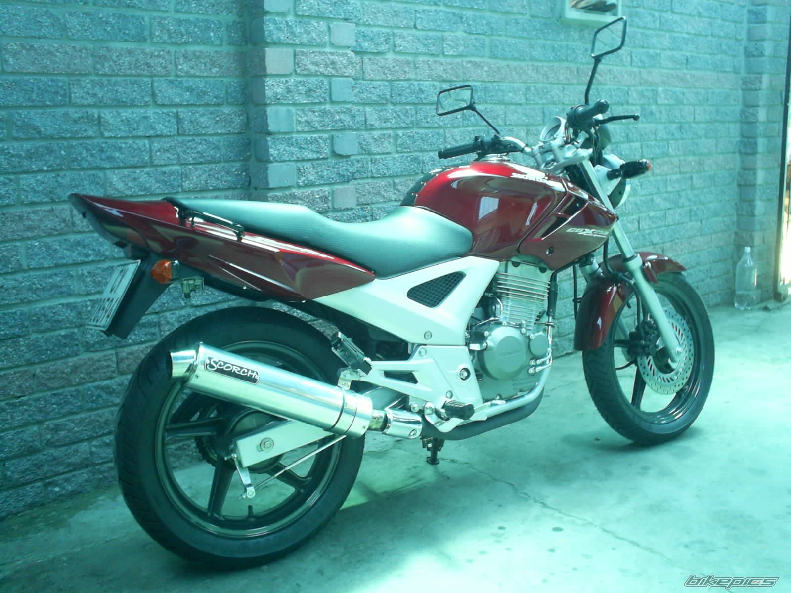 2006 HONDA CBX 250 | Picture 713162 motorcycle photo