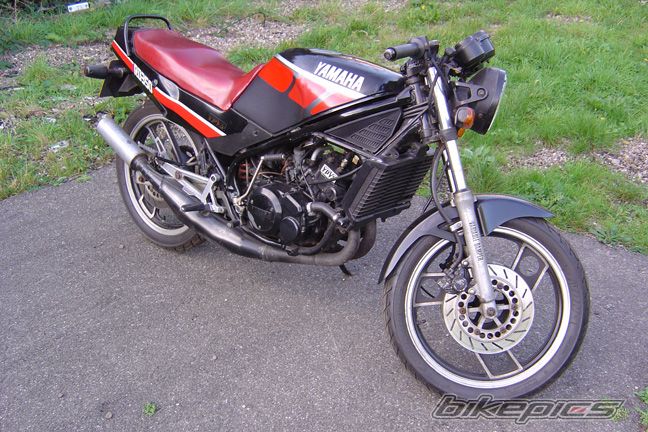 1981 YAMAHA RD 350 | Picture 713234 motorcycle photo