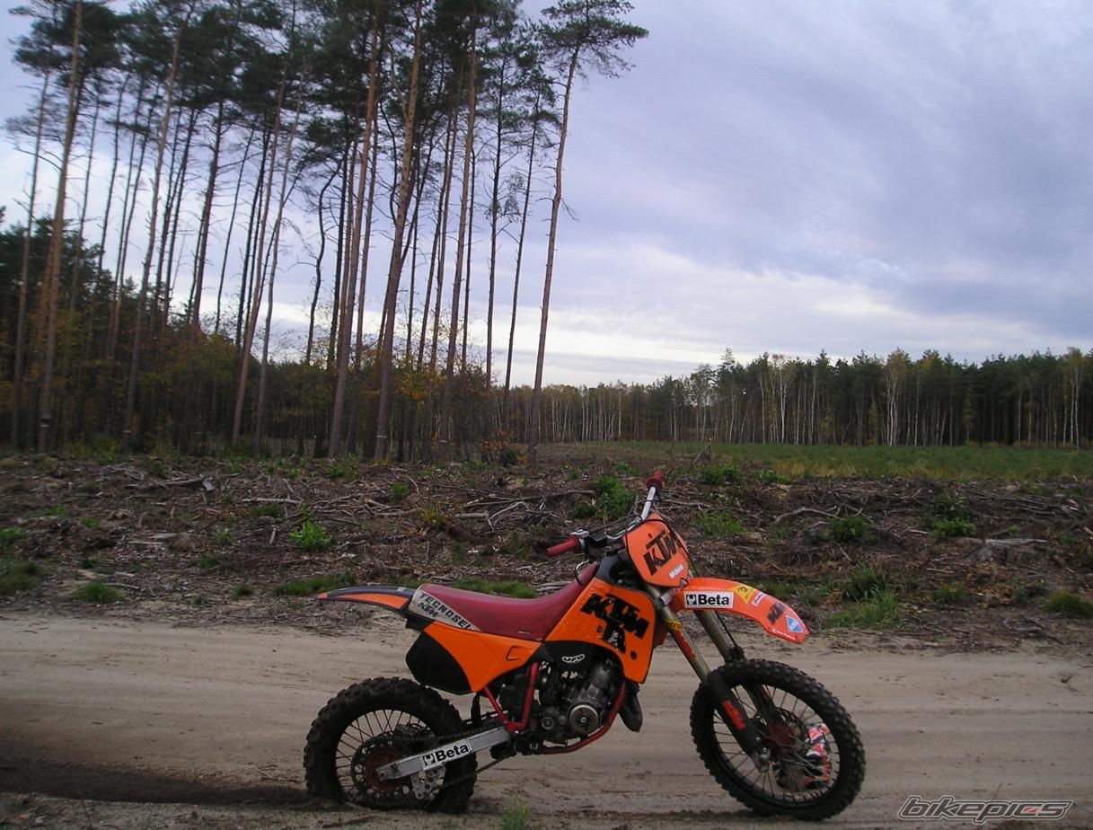 1992 KTM 125 SX | Picture 713241 motorcycle photo