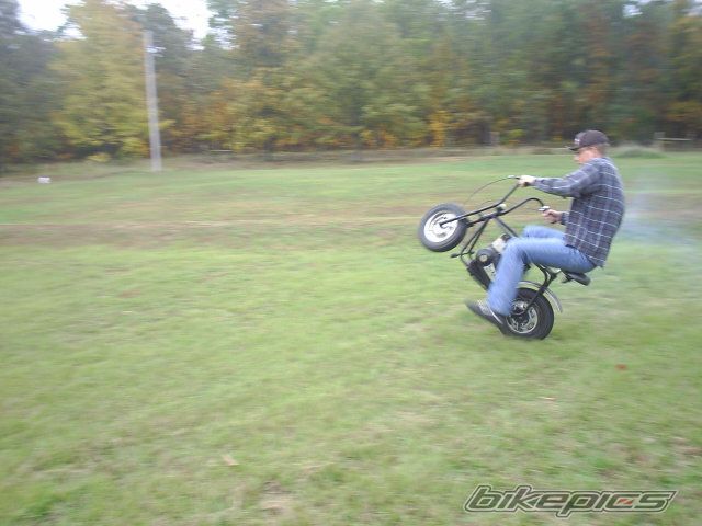1962 BUG BANDIT 50 | Picture 713595 motorcycle photo