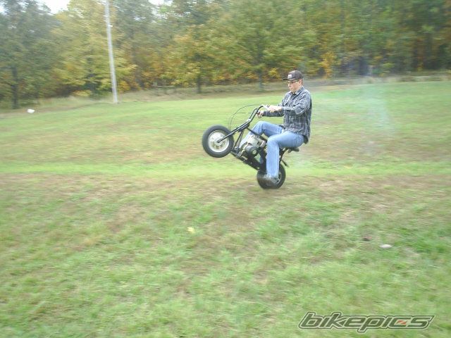 1962 BUG BANDIT 50 | Picture 713596 motorcycle photo