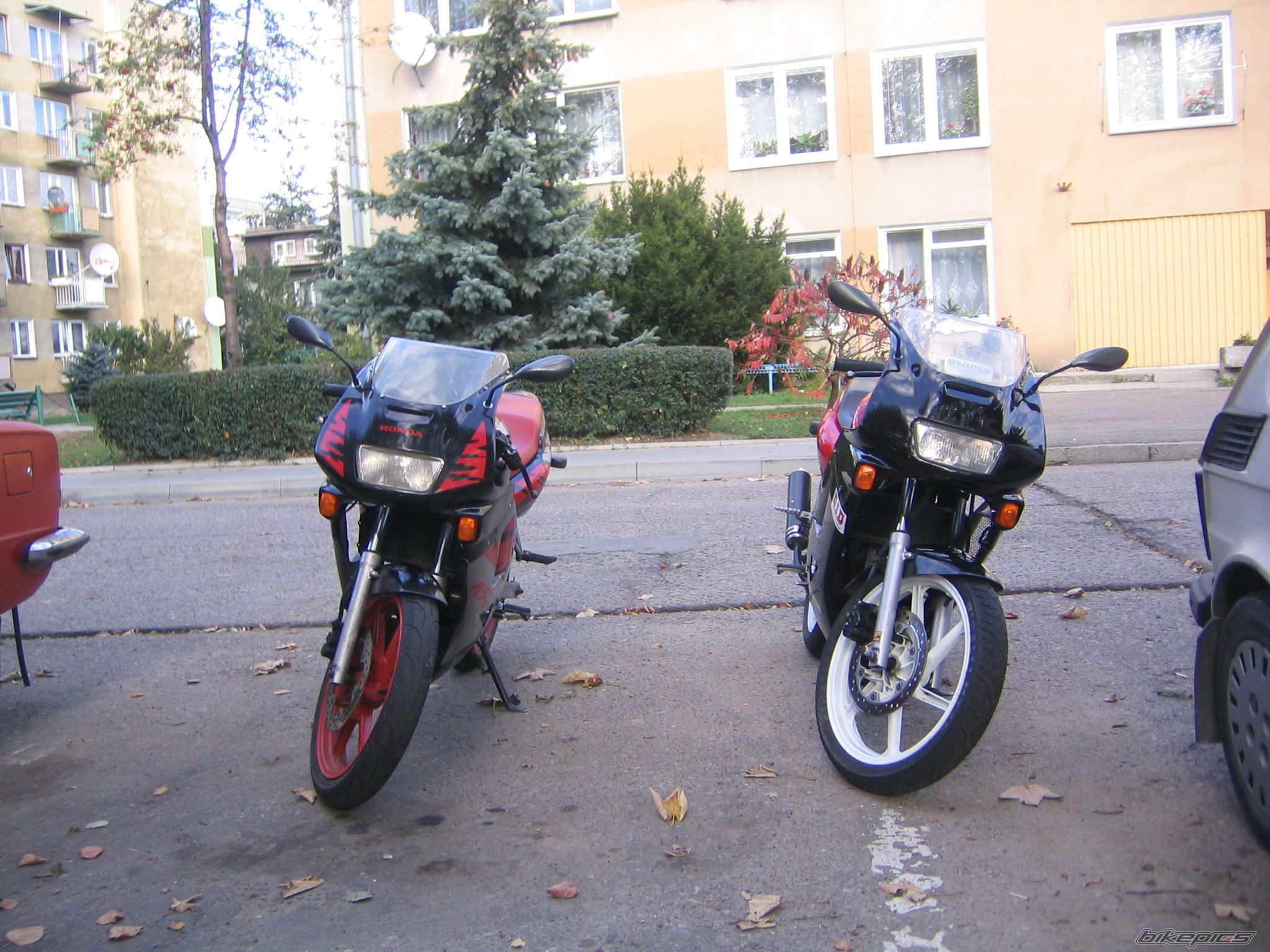 1994 HONDA NS1 80 | Picture 713705 motorcycle photo