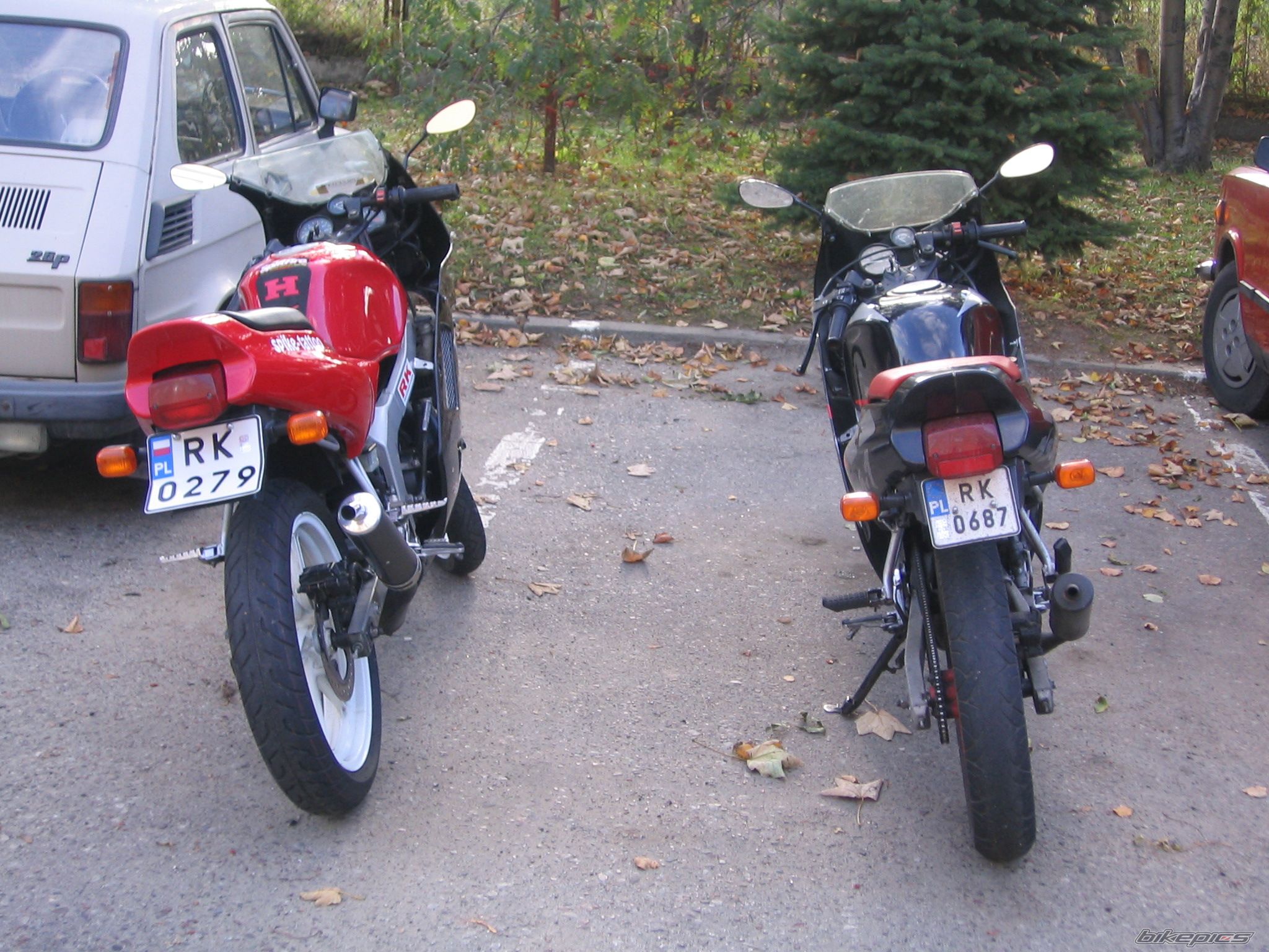 1994 HONDA NS1 80 | Picture 713709 motorcycle photo