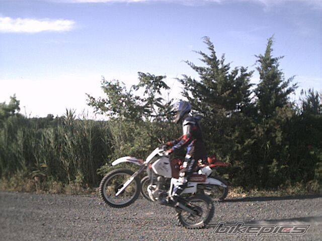 1999 HONDA XR 200 | Picture 71417 motorcycle photo