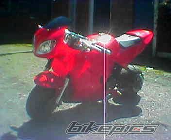 2003 DUCATI MONSTER 1000 | Picture 714623 motorcycle photo