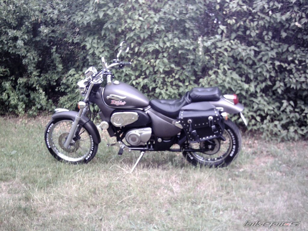 1996 GILERA EAGLET 50 | Picture 715009 motorcycle photo