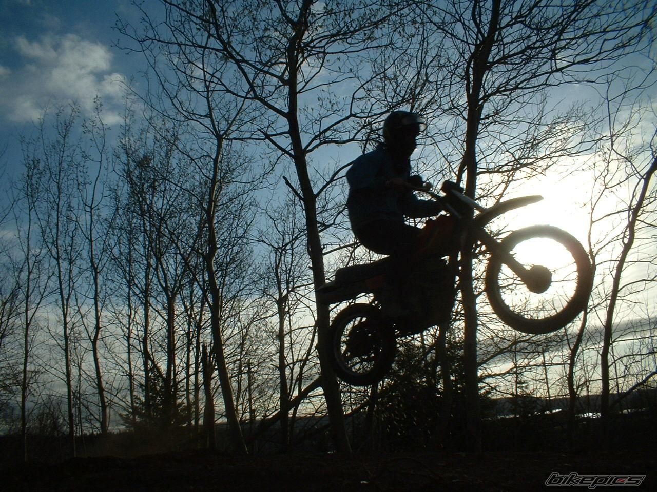 1983 YAMAHA XT 250 | Picture 715093 motorcycle photo
