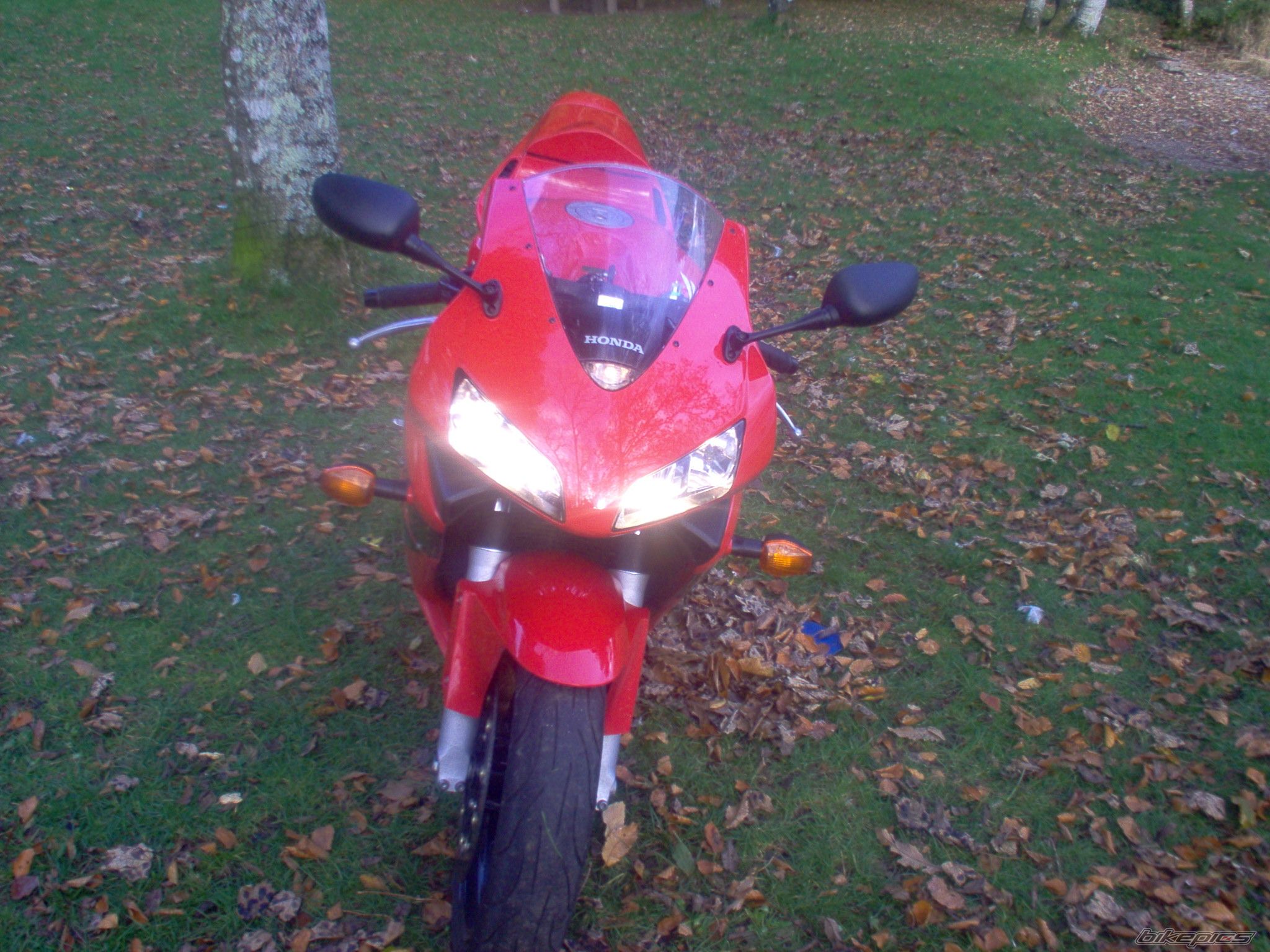 2003 HONDA CBR 600 RR | Picture 715137 motorcycle photo
