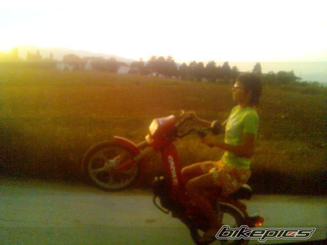 2006 TOMOS SPRINT | Picture 715238 motorcycle photo