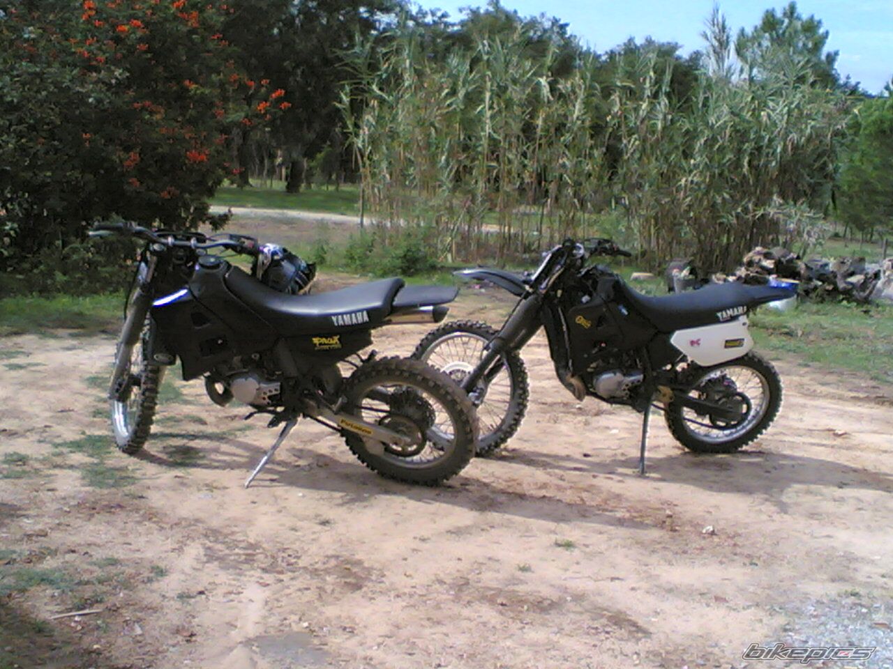 2000 YAMAHA DT 125 | Picture 715500 motorcycle photo