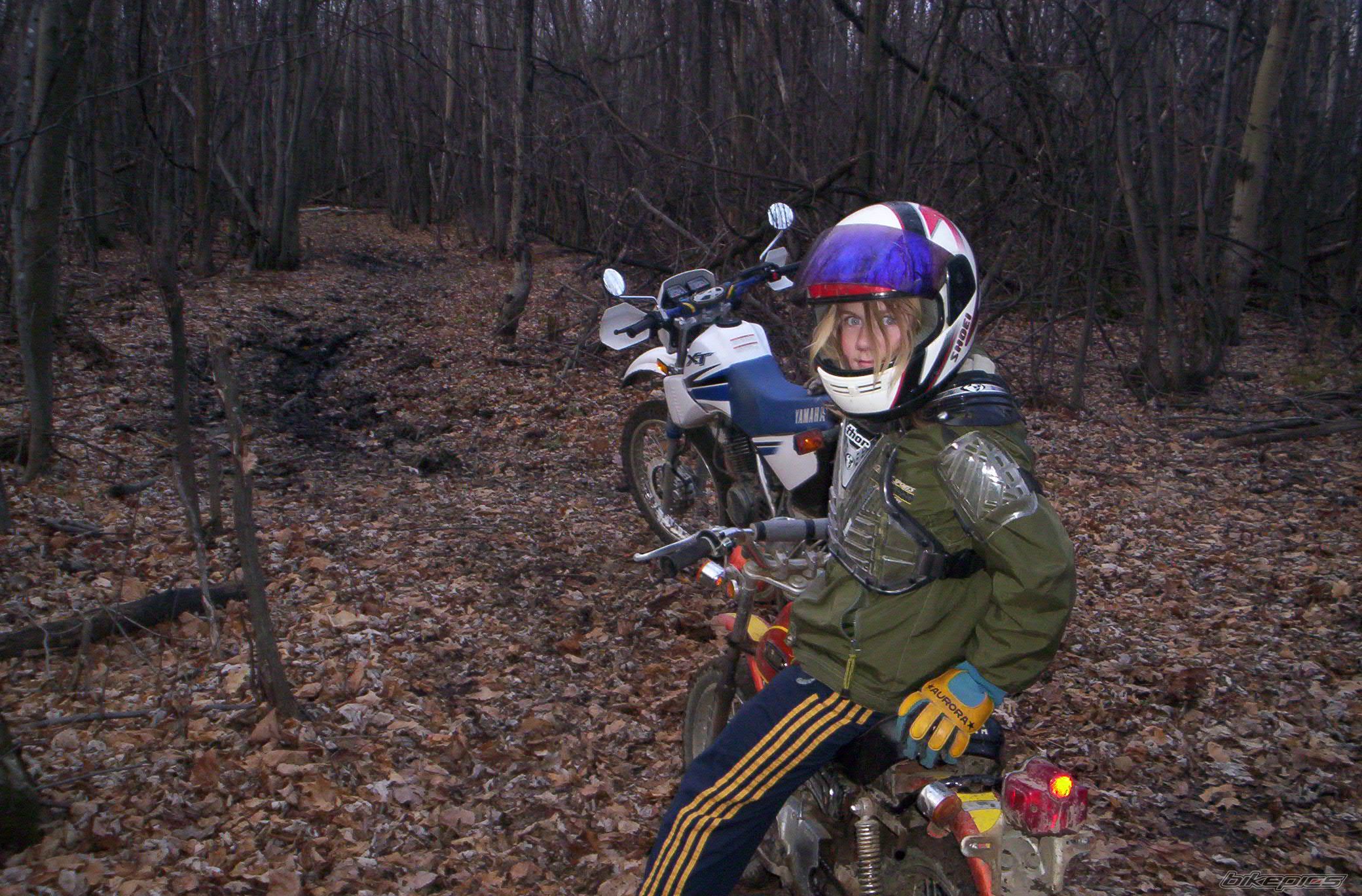 1972 YAMAHA JT 1 | Picture 715524 motorcycle photo