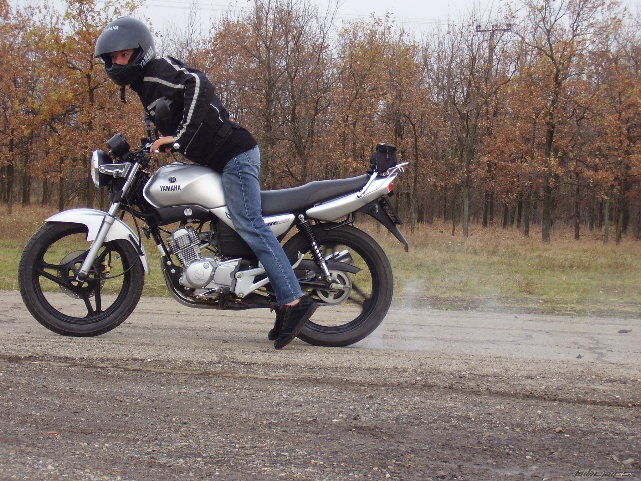 2005 YAMAHA YBR 125 | Picture 715851 motorcycle photo