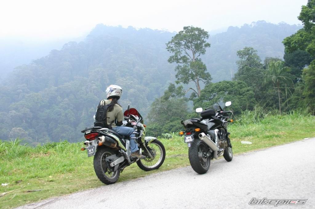 2006 KAWASAKI Z 750 | Picture 716557 motorcycle photo