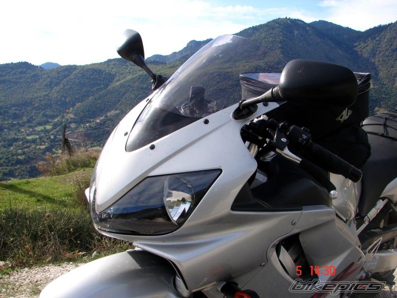 2002 HONDA CBR 600 | Picture 716764 motorcycle photo