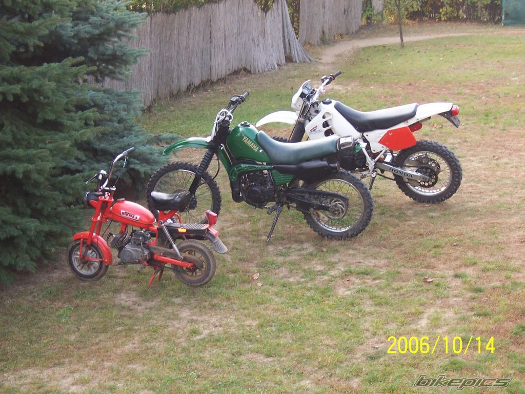 1984 ROMET PONY 50 | Picture 716907 motorcycle photo