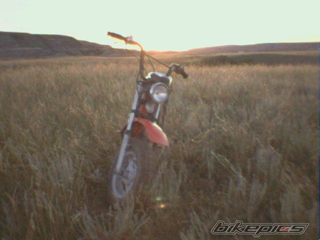 1981 HONDA CT 70 | Picture 717507 motorcycle photo