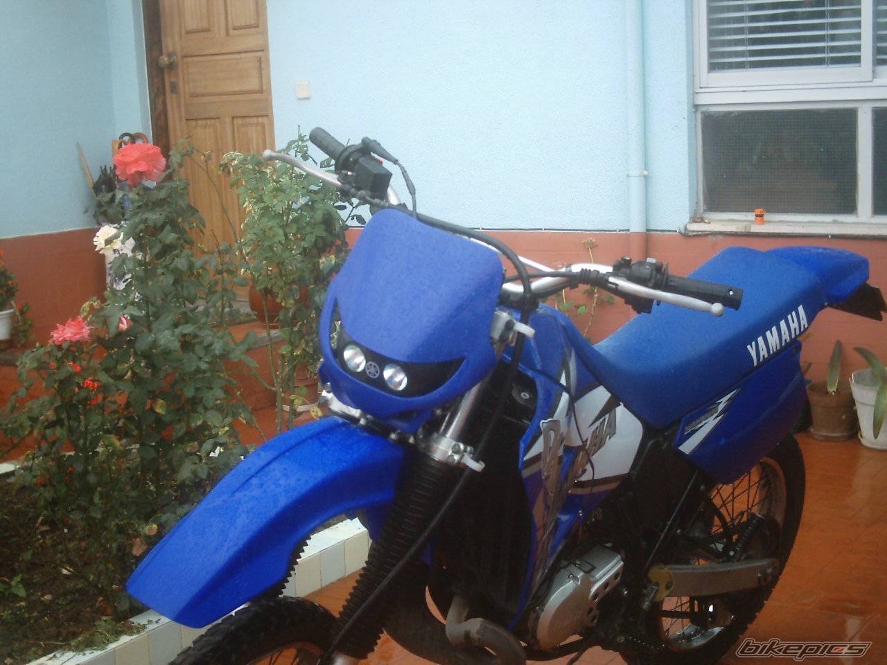 2003 YAMAHA DT 125 | Picture 71794 motorcycle photo