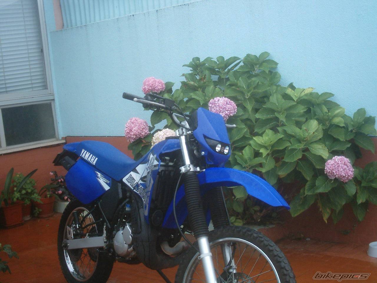 2003 YAMAHA DT 125 | Picture 71797 motorcycle photo