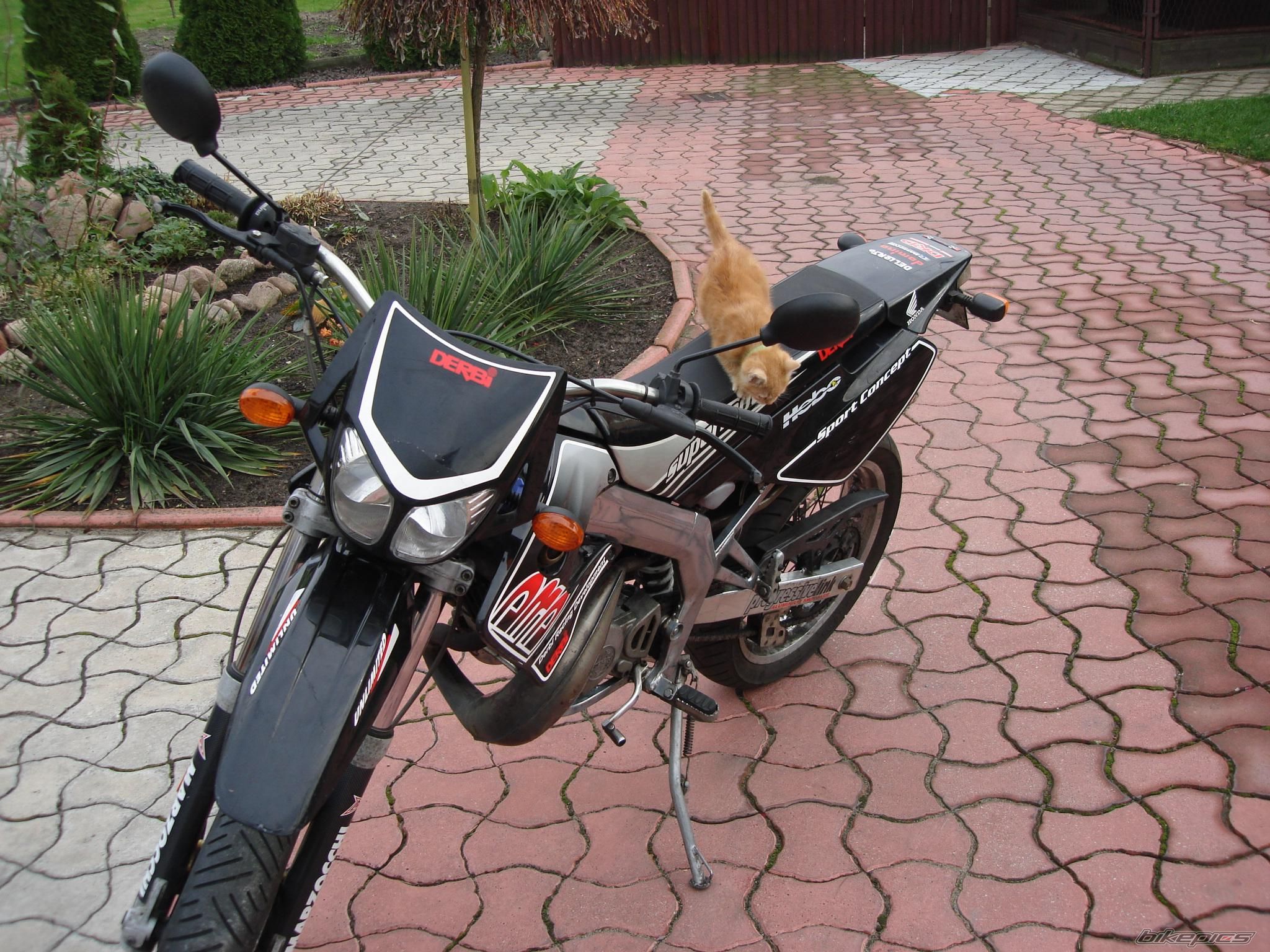 2003 DERBI SENDA DRD SM 50 | Picture 718460 motorcycle photo