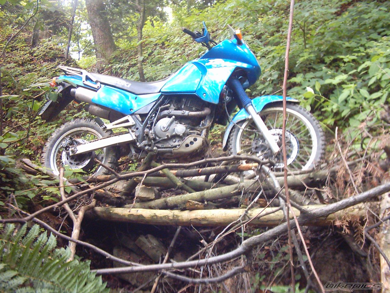 1990 SUZUKI DR 650 | Picture 718559 motorcycle photo