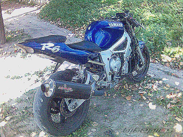 2002 YAMAHA YZF R6 | Picture 718621 motorcycle photo