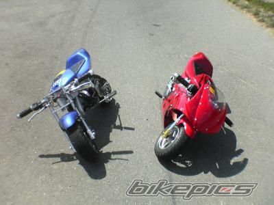 2006 POLINI 911 | Picture 718635 motorcycle photo