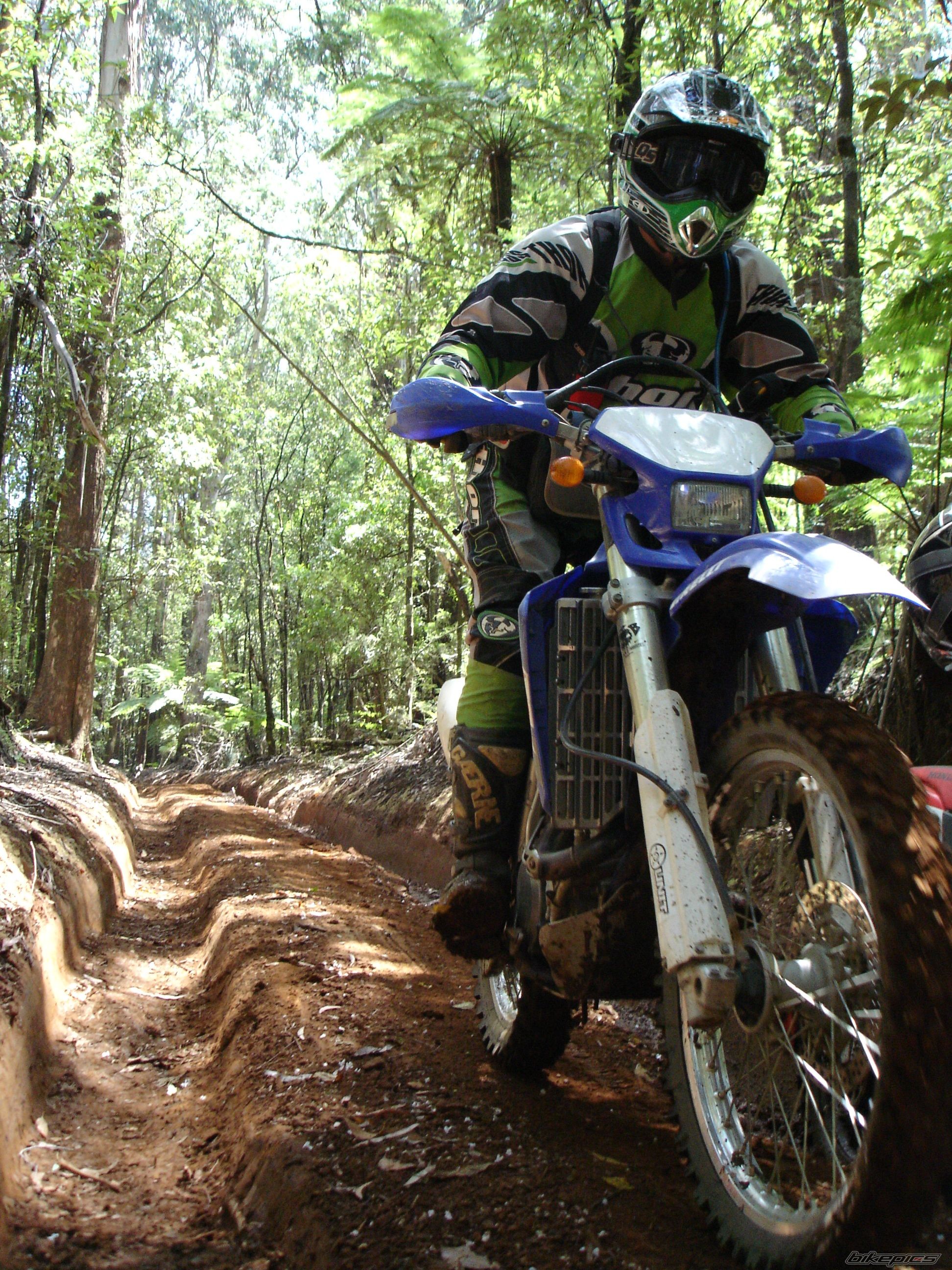 2003 YAMAHA WR450 | Picture 719003 motorcycle photo