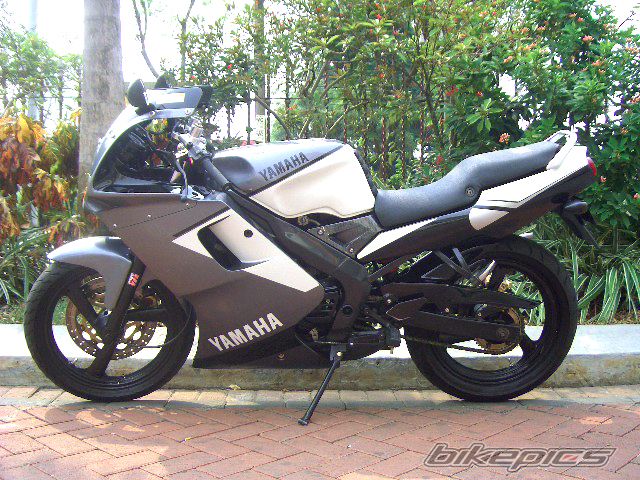 1998 YAMAHA TZM 150 | Picture 719624 motorcycle photo