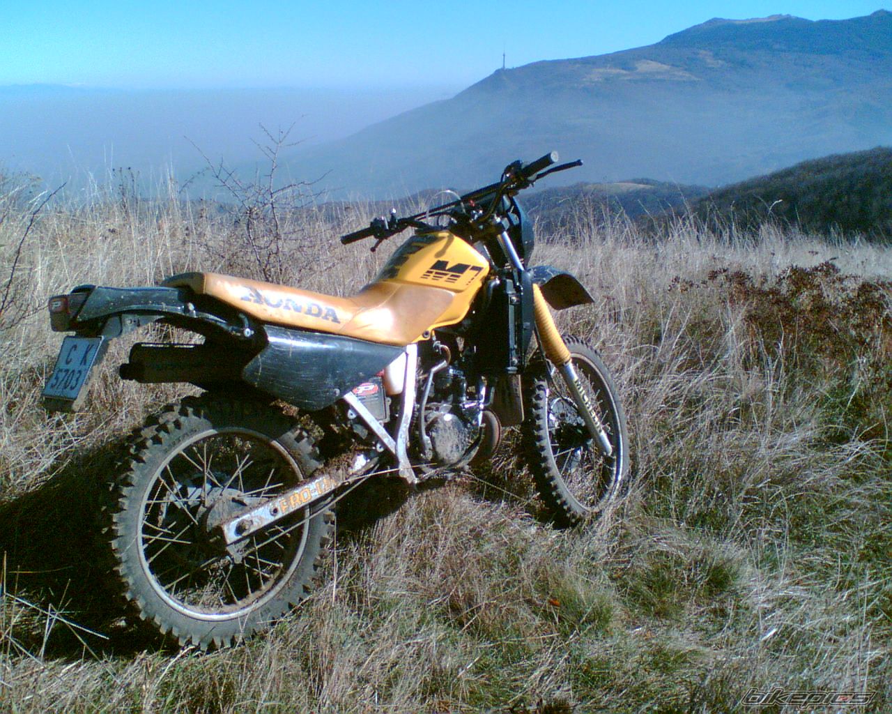 1990 HONDA MTX 125 | Picture 719813 motorcycle photo