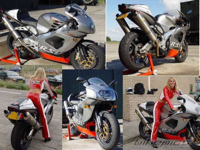 2002 APRILIA RSV 1000 MILLE | Picture 72039 motorcycle photo