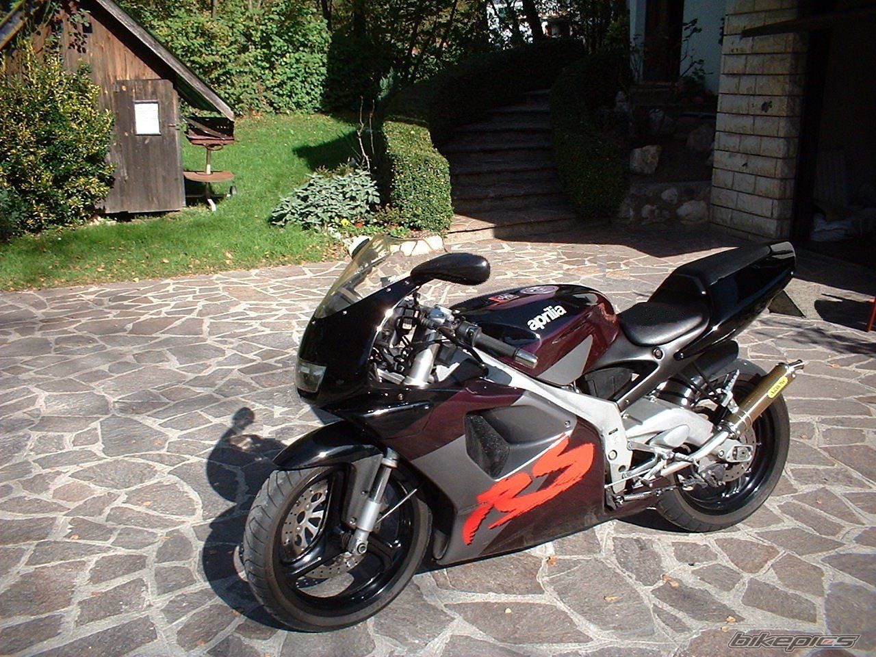 1993 APRILIA RS 125 | Picture 720684 motorcycle photo