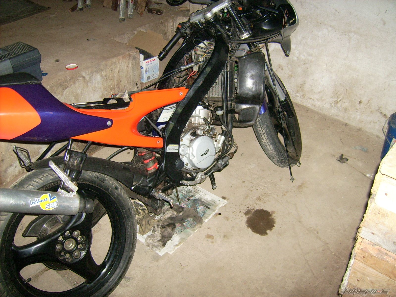 1995 APRILIA RS 50 | Picture 721182 motorcycle photo