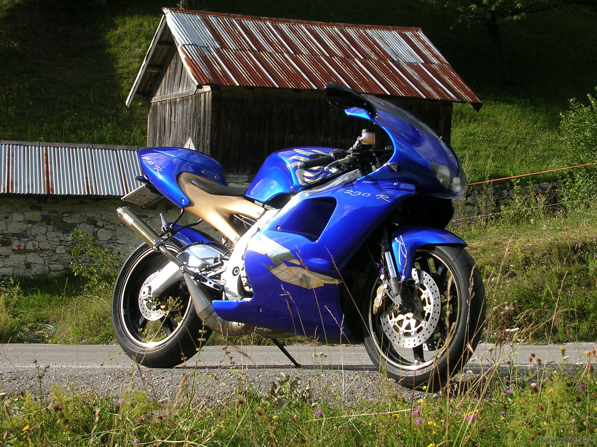 1997 APRILIA RS 250 | Picture 721441 motorcycle photo