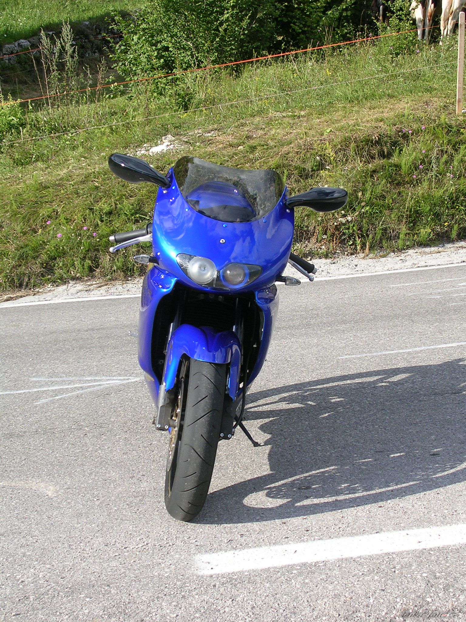 1997 APRILIA RS 250 | Picture 721447 motorcycle photo