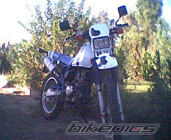 1995 SUZUKI DR 125 | Picture 72155 motorcycle photo