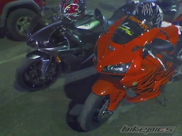 2006 HONDA CBR 600 | Picture 721625 motorcycle photo