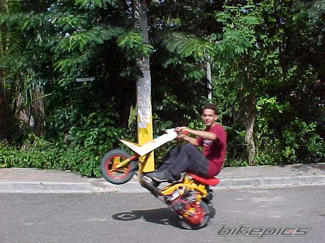 2003 YAMAHA JOG | Picture 72180 motorcycle photo