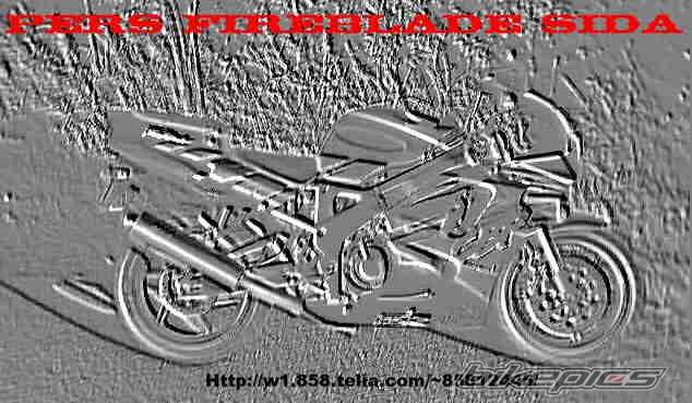 1993 HONDA CBR 900 | Picture 7226 motorcycle photo