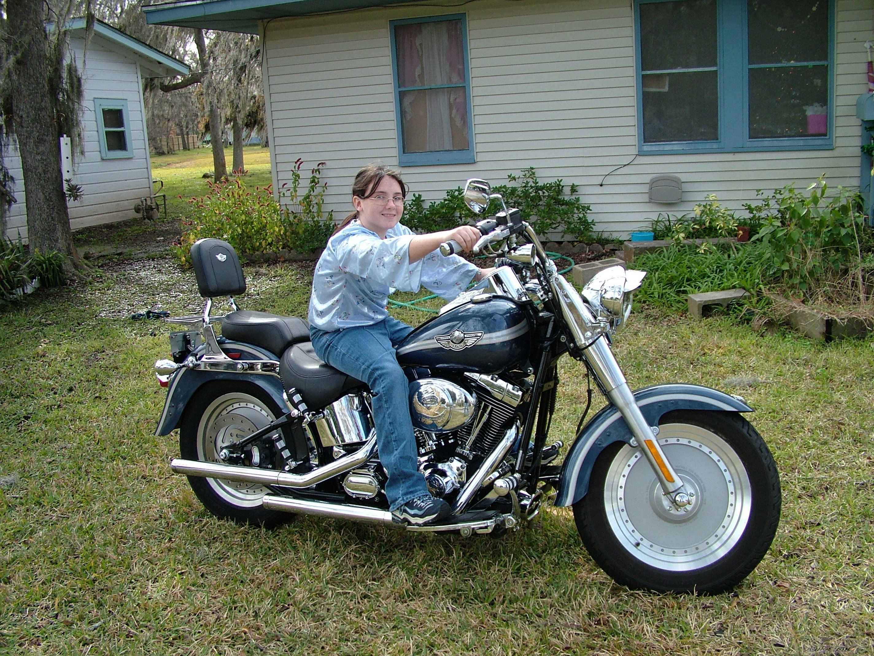 2003 HARLEY DAVIDSON FLSTF | Picture 722624 motorcycle photo