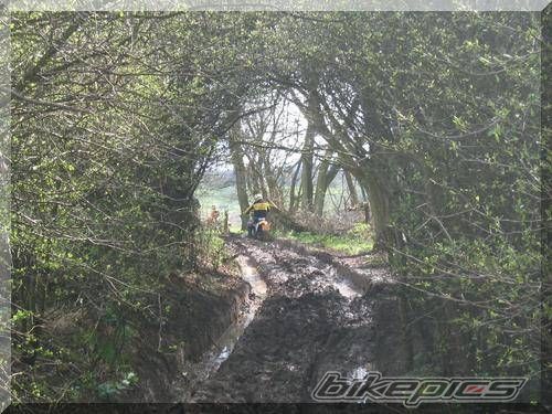 1985 KAWASAKI KE 125 | Picture 722955 motorcycle photo