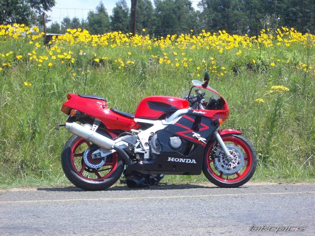 1998 HONDA CBR 400 | Picture 722960 motorcycle photo