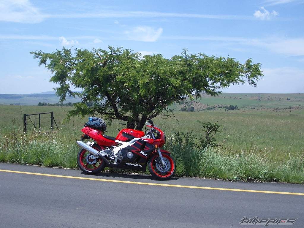 1998 HONDA CBR 400 | Picture 722964 motorcycle photo
