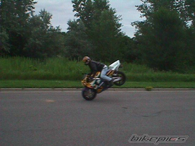 1996 HONDA CBR 900 | Picture 723 motorcycle photo