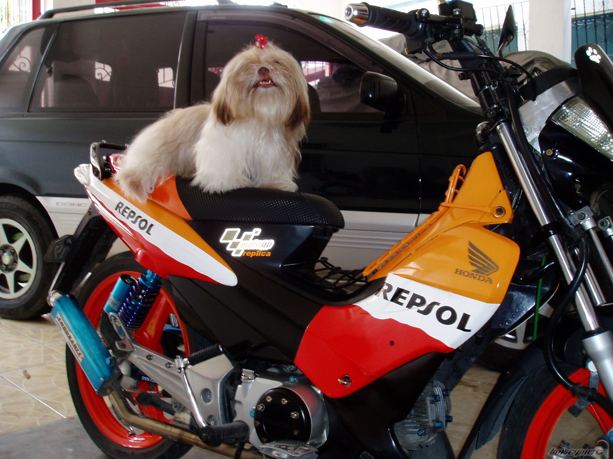 2007 HONDA XRM 110 | Picture 723557 motorcycle photo