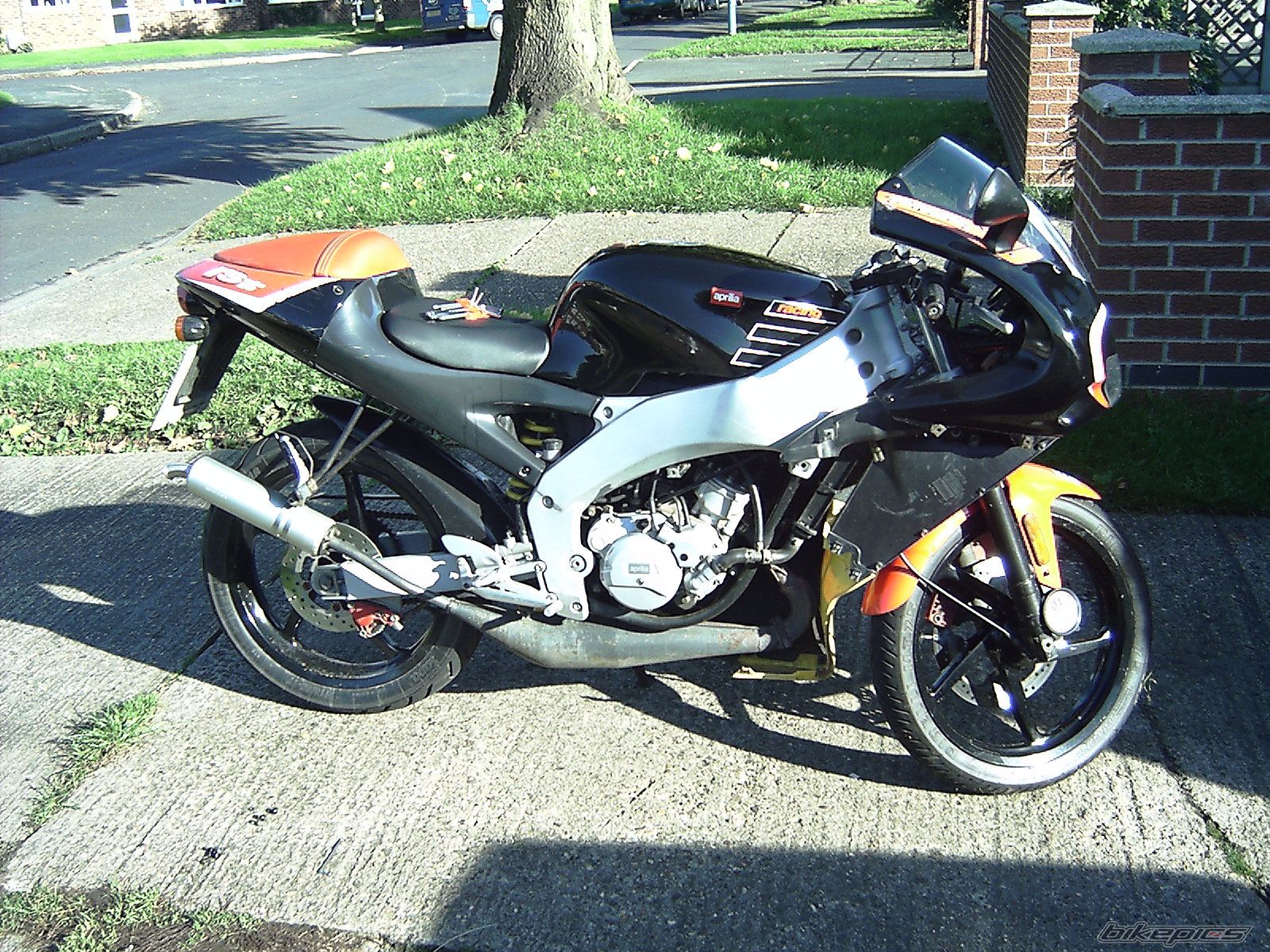 1999 APRILIA RS 50 | Picture 723566 motorcycle photo