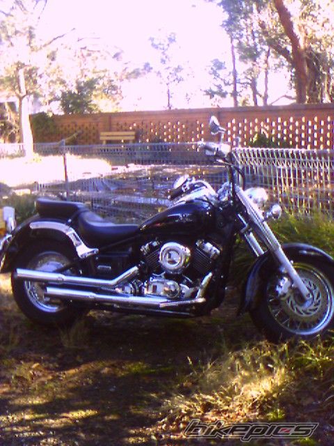 2006 YAMAHA XVS 650 DRAG STAR CLASSIC | Picture 723811 motorcycle photo
