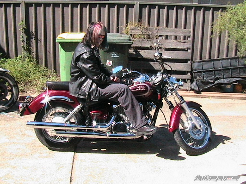 2001 YAMAHA XVS 250 DRAGSTAR | Picture 723814 motorcycle photo