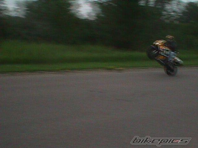 1996 HONDA CBR 900 | Picture 724 motorcycle photo
